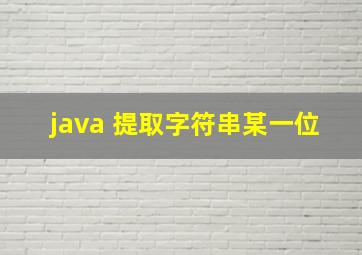 java 提取字符串某一位